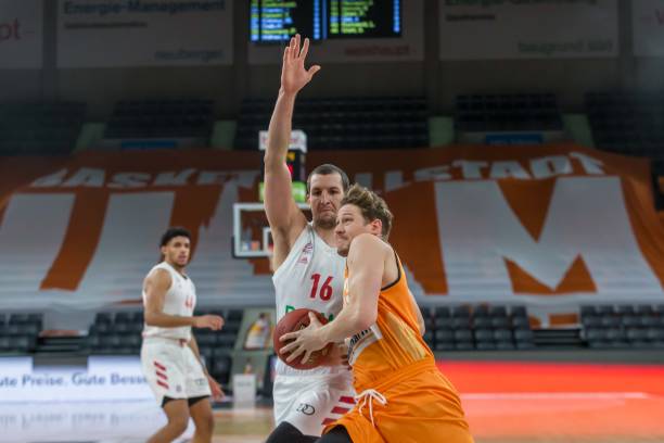 让它在搜索 让它在搜索